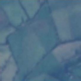 Farmland seen from a satellite, from EuroSAT