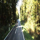 A road seen from a car