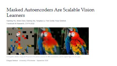 Masked Autoencoders Are Scalable Vision Learners