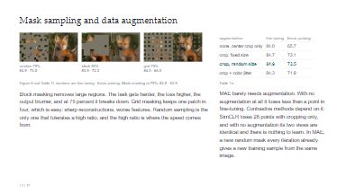 Mask sampling and data augmentation