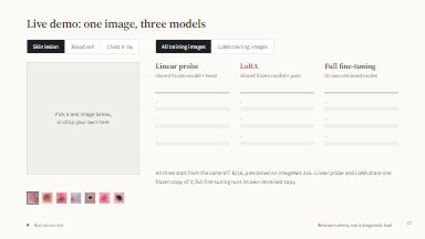Live demo: one image, three models