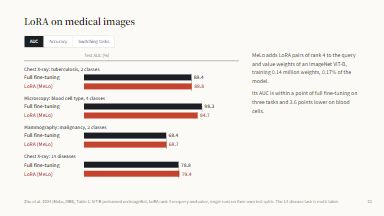 LoRA on medical images