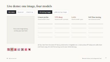 Live demo: one image, four models