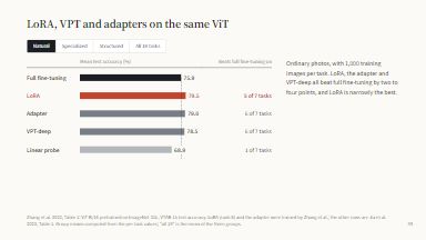 LoRA, VPT and adapters on the same ViT
