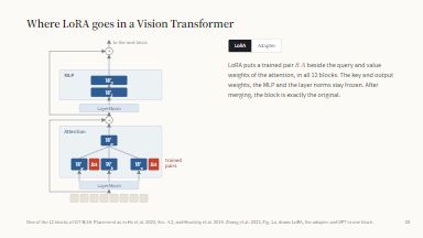 Where LoRA goes in a Vision Transformer