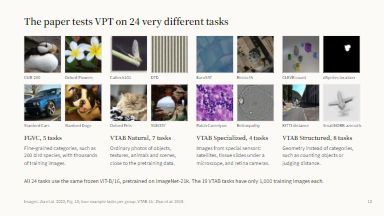 The 24 tasks
