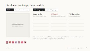 Live demo: one image, three models