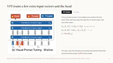 VPT: shallow and deep