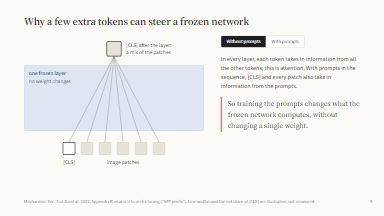Why extra tokens can steer a frozen network